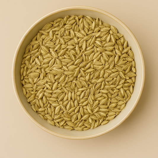 Bulk Dried Fennel Seed